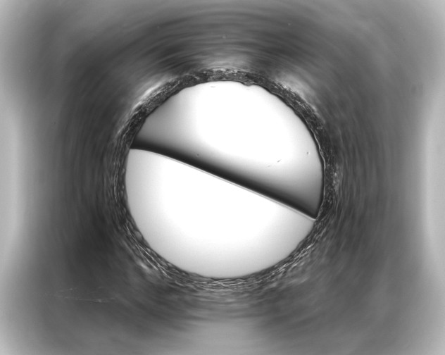 X0000087040968200705021133