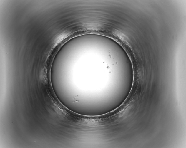 X0000087040970200705021133