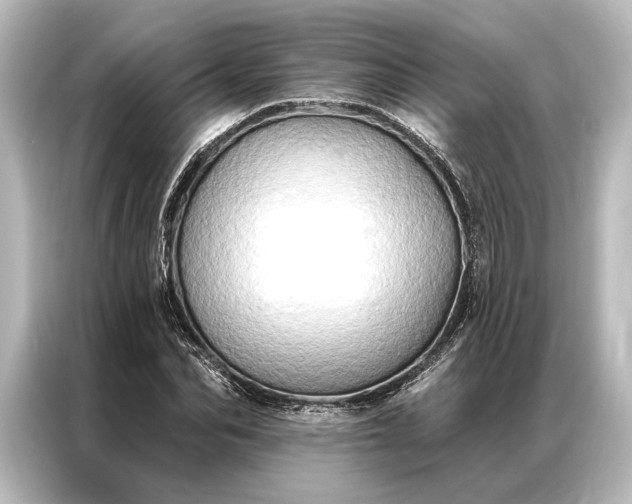 X0000087040974200705021133