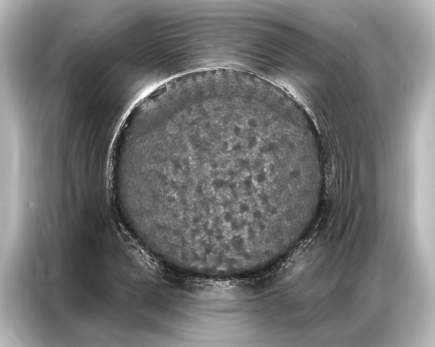 X0000087040975200705021133