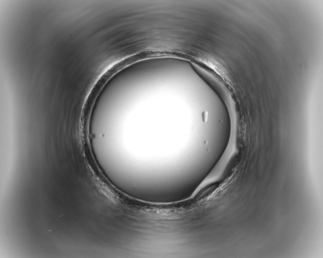 X0000087040976200705021133