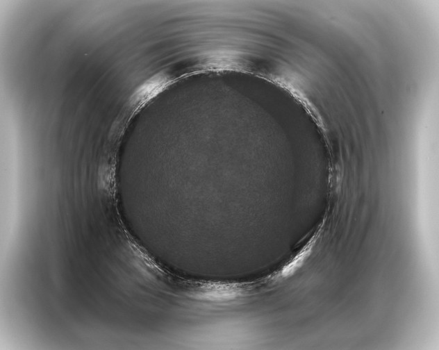 X0000087040977200705021133