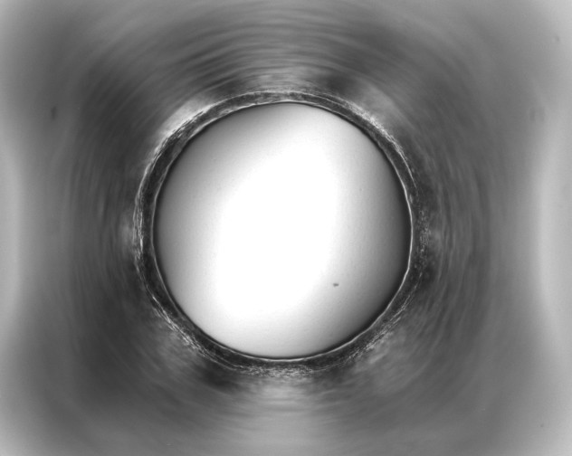 X0000087040979200705021133