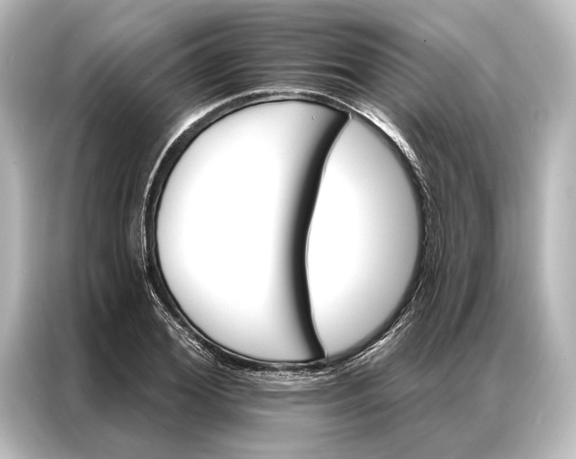 X0000087040980200705021133
