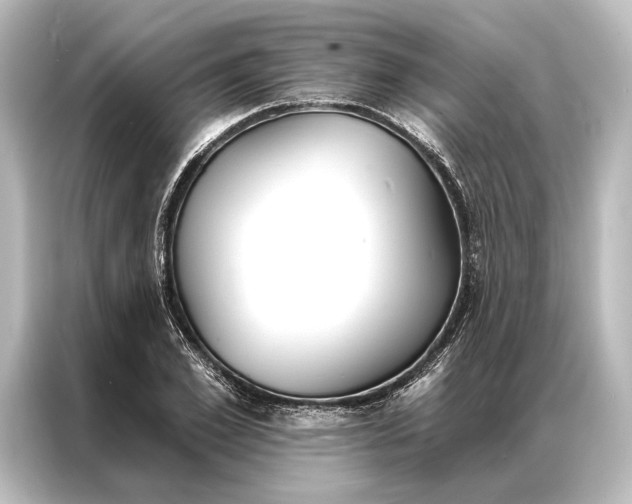X0000087040981200705021133