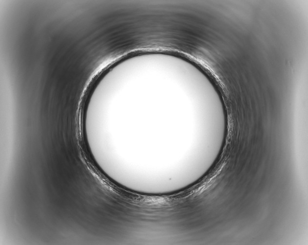 X0000087040982200705021133