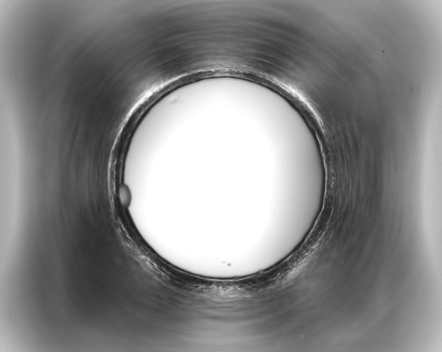 X0000087040983200705021133