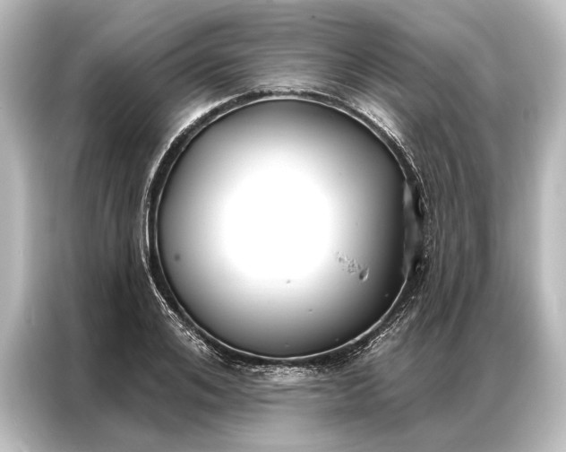 X0000087040984200705021133