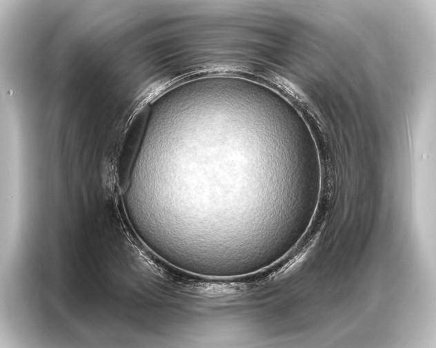 X0000087040985200705021133