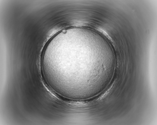 X0000087040986200705021133