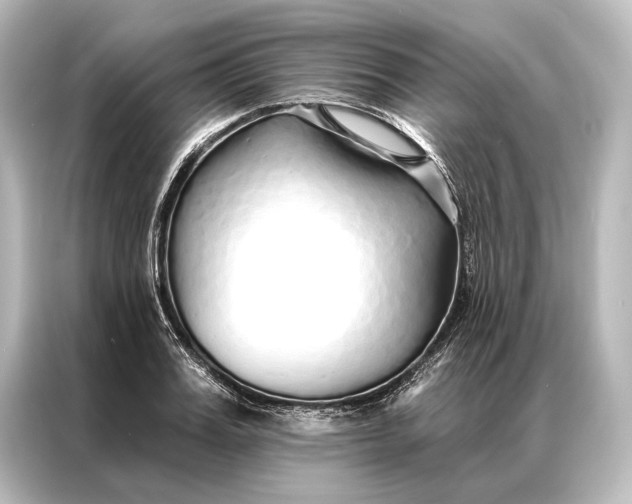 X0000087040987200705021133