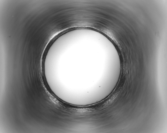 X0000087040988200705021133