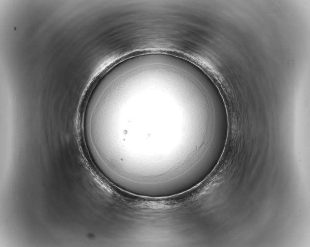 X0000087040990200705021133