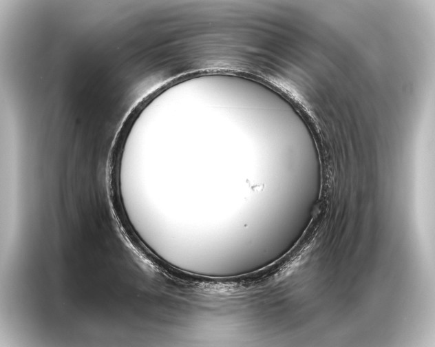 X0000087040991200705021133