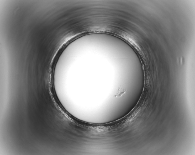 X0000087040992200705021133