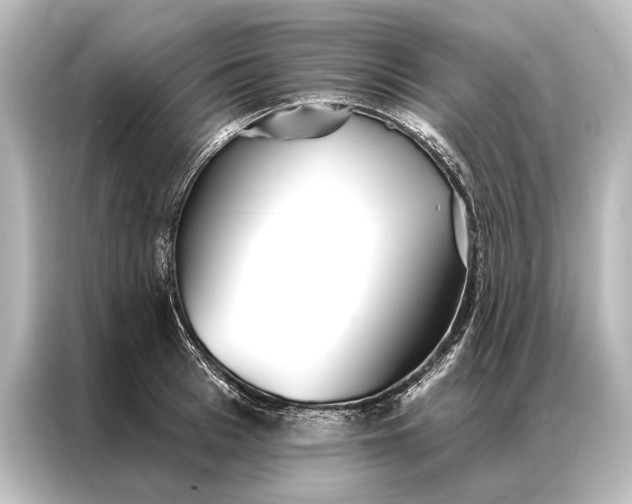 X0000087040993200705021133