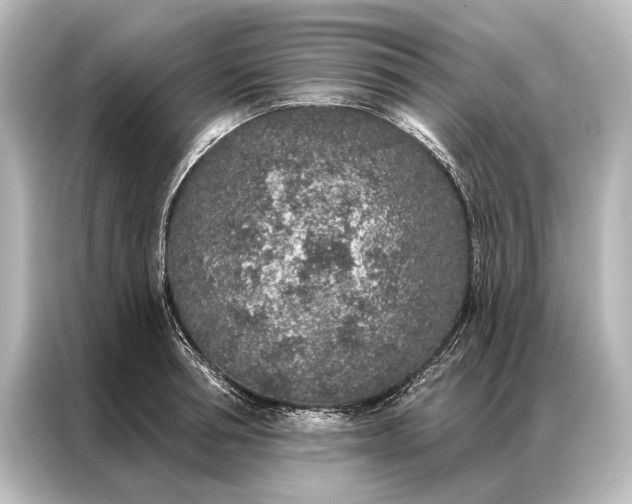 X0000087040994200705021133