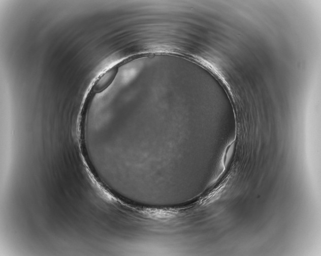 X0000087040995200705021133