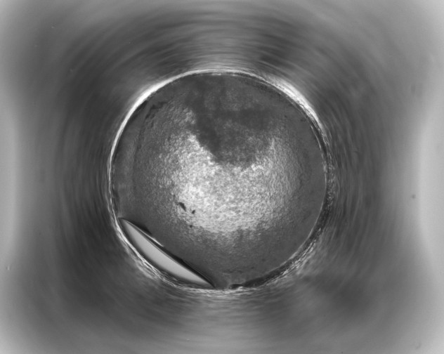 X0000087040996200705021133