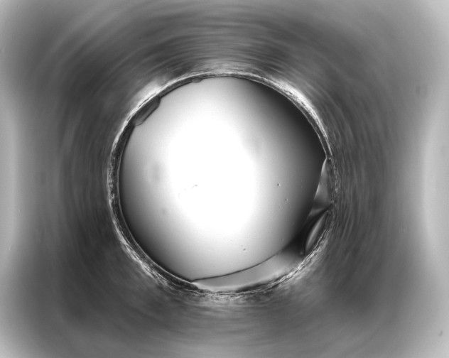 X0000087040997200705021133