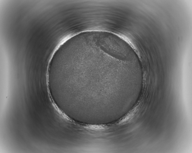 X0000087040998200705021133