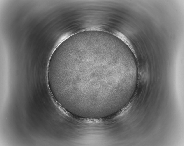 X0000087041002200705021133