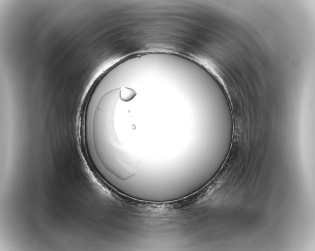 X0000087041003200705021133