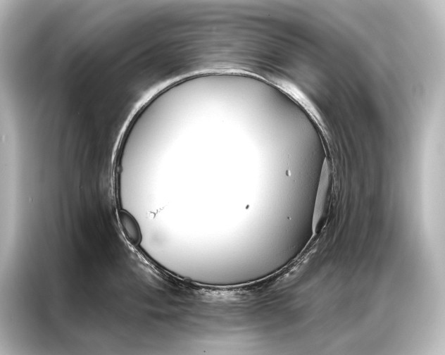 X0000087041004200705021133