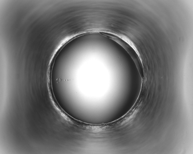 X0000087041005200705021133