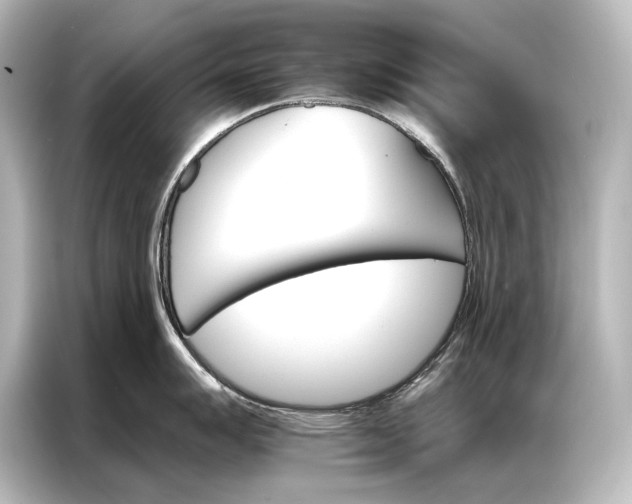 X0000087041007200705021133