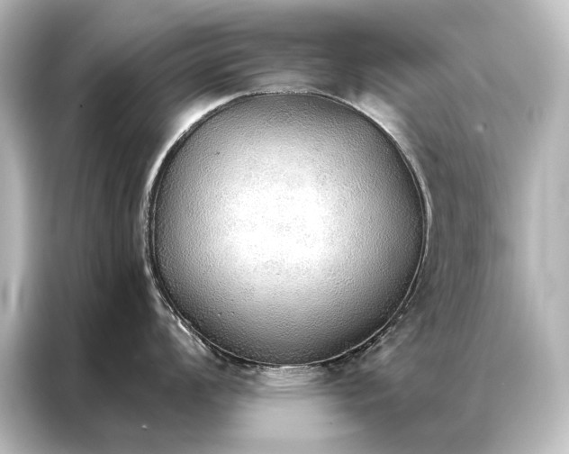 X0000087041008200705021133