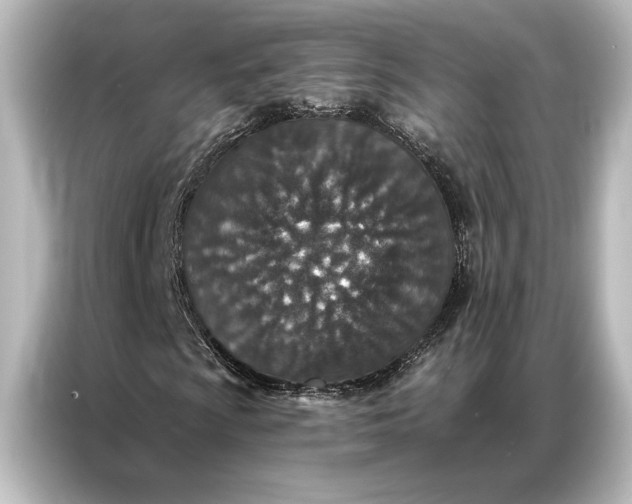X0000087041009200705021132