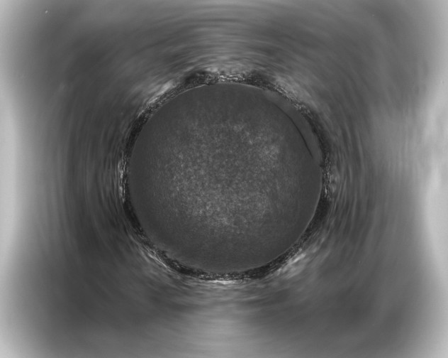 X0000087041010200705021132