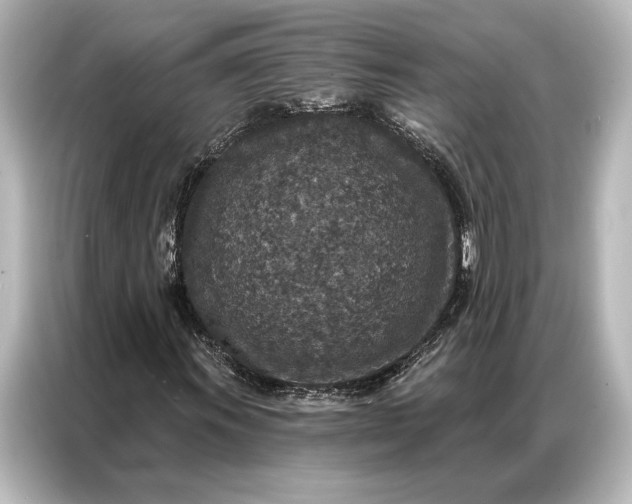 X0000087041011200705021132