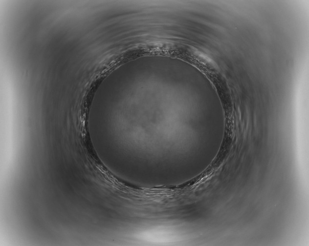 X0000087041013200705021132