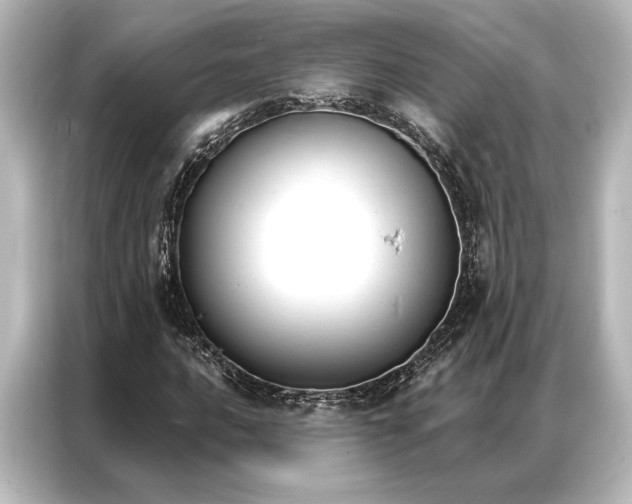 X0000087041016200705021132