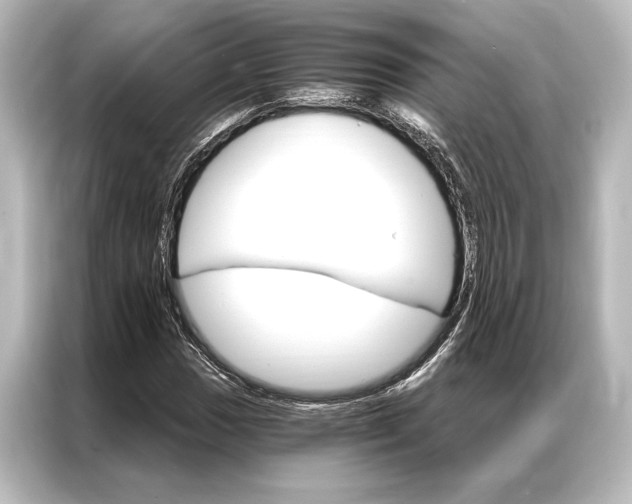 X0000087041017200705021132
