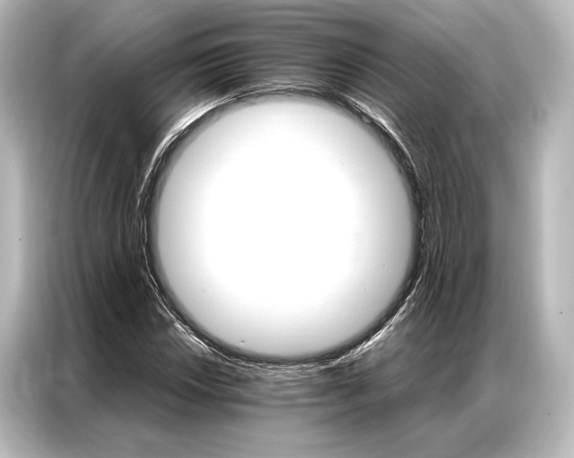 X0000087041018200705021132