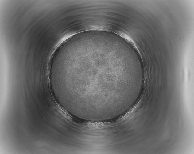 X0000087041019200705021132