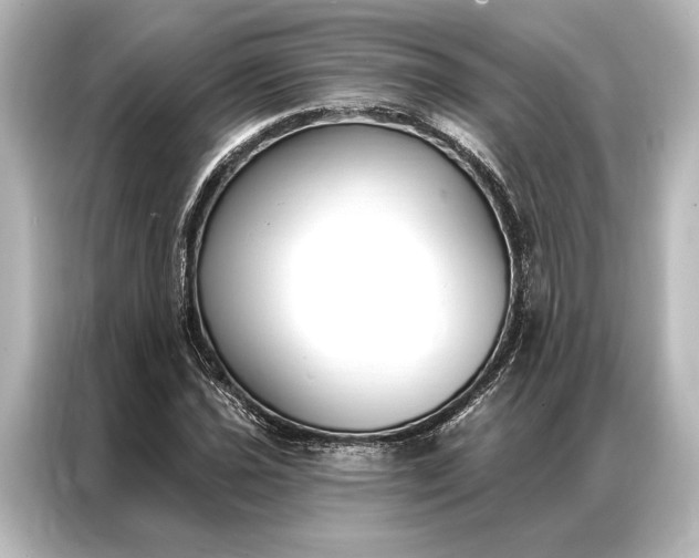 X0000087041021200705021132