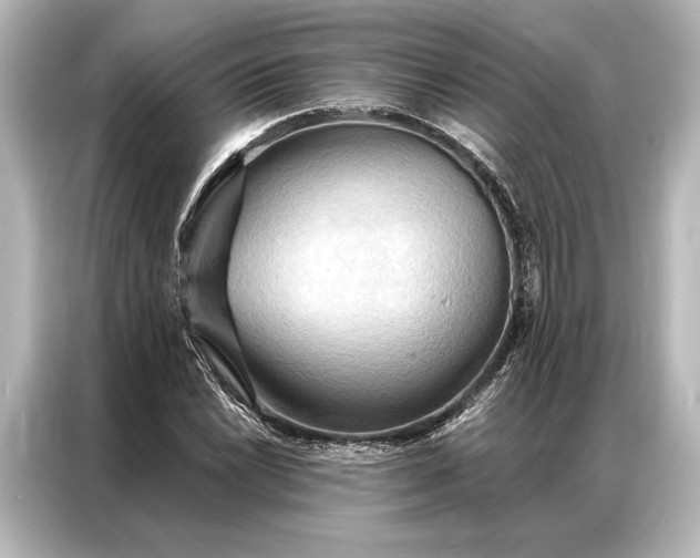 X0000087041022200705021132