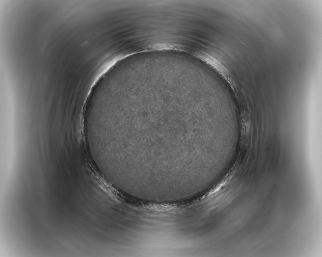 X0000087041023200705021132