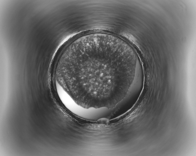 X0000087041024200705021132