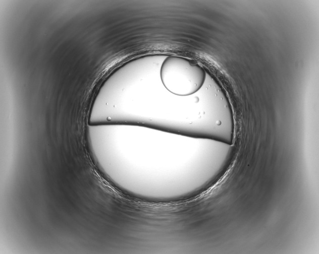 X0000087041025200705021132