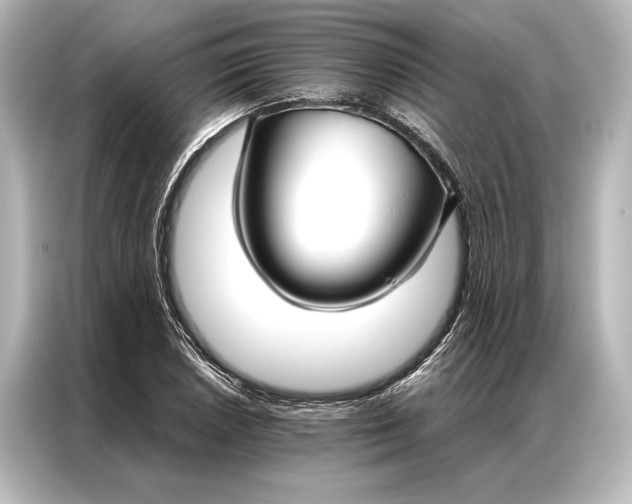 X0000087041026200705021132
