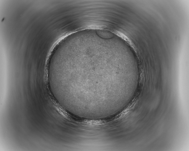 X0000087041027200705021132