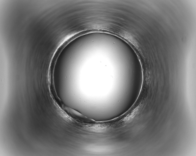 X0000087041028200705021132