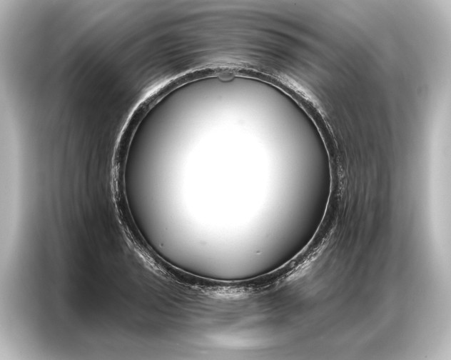 X0000087041029200705021132
