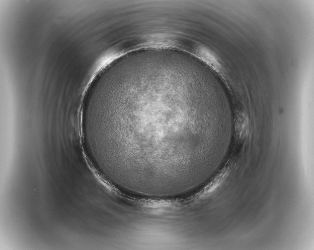 X0000087041030200705021132