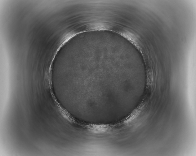 X0000087041031200705021132